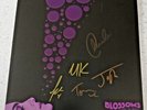 Blossoms 10