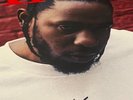 Kendrick Lamar DAMN. Vinyl Signed Autographed Record Cover 2LP Red Vinyl
