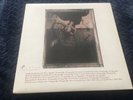 Pixies Surfer Rosa reissue vinyl LP record 2004 UK