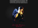 Soundgarden Soundgarden Live At The Palladium Hollywood (Limit (Vinyl)