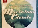 Marvelous Clouds by Aaron Freeman (Record, 2012) Ween New Sealed Hype Sticker