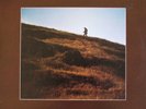 Van Morrison - Common One, LP, (Vinyl)