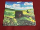 SIGNED Cover - Rainbow Kitten Surprise - Bones - Blueberry Colored Vinyl