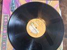 Blind Idiot God Vinyl SST Records 1987 Cesstone Music