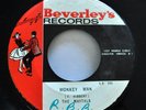 The Maytals 45 Monkey Man  Day and Night BEVERLEYS Reggae VG+  #3956