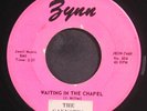 GAYNOTES: waiting in the chapel / plea of love ZYNN 7