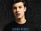 SHAWN MENDES: HANDWRITTEN - LP vinyl *BRAND NEW*