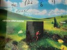 Rainbow Kitten Surprise – bones SIGNED COVER Blueberry Colored Vinyl In Hand