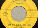 The Misfits-Turn On Your Love Light-RARE TEXAS GARAGE Charay ‘66 45rpm