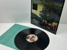 Fleetwood Mac Tango In The Night Vinyl LP EX/EX 1987 Album Record WX 65