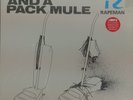 Rapeman - Two Nuns And A Pack Mule LP Big Black Steve Albini Shellac NEW RECORD