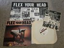 FLEX YOUR HEAD original DISCHORD with INSERT + POSTER First Press DC PUNK rare