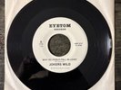David Gilmour-Jokers Wild- Don't ask/Why Do Fools-NM-45RPM-Pink Floyd  RARE  NM