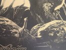 GURNEMANZ NO RAYS OF NOISE RARE GERMAN PROGRESSIVE FOLK IN MOSTLY ENGLISH VINYL