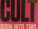 The Cult - Born Into This (180gm LP, 2018 MOV, EU, MOVLP2232, Sealed)
