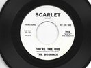 GARAGE ROCKER 45 - BUSHMEN -  YOU'RE THE ONE  - HEAR  1965 PROMO SCARLET
