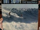The Sentinals Big Surf 1963 Vinyl LP Stereo Del Fi DFLP 1232 vg+