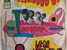 Rare 1967 Airplane Cover, The Beatles, Hello Goodbye, I am the Walrus, Vinyl 45