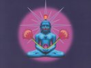 ORB, The - Buddhist Hipsters - Vinyl (gatefold 2xLP)