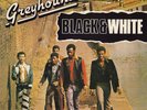 Greyhound (4) - Black & White, LP, (Vinyl)