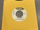 Bob Marley - Sun In Shinning - Run For Cover - Tuff Gong 45 Rpm Jamaica