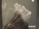Pearl Jam 'Last of Us' RARE Black Metallic Splatter Vinyl