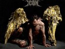 Despised Icon Purgatory (Vinyl) 12