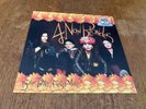 4 NON BLONDES Bigger, Better, Faster, More  LP Vinyl 1993 German 1st Press