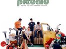 Piebald 