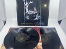 Panic  At the Disco All My Friends We're Glorious Death of a Bachelor Live Vinyl