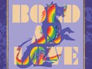 The Jimi Hendrix Experience - (PRE-ORDER 11/7/25) Bold As Love (5x VINYL + BluRa