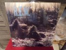 SEALED R.E.M. MURMUR