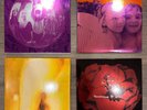 Smashing Pumpkins 4 vinyl records: Gish, Siamese, Pisces, and Adore