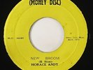 Horace Andy 