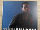 Twin Shadow – Confess LP 2012 4AD CAD 3219 VG+/VG+
