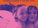 Smashing Pumpkins Siamese Dream remastered 180GM VINYL 2 LP gatefold NEW/SEALED