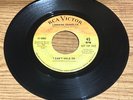 NORTHERN SOUL 45 LORRAINE CHANDLER I CAN'T HOLD ON RCA 8980 DJ PROMO MINT-