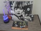 Tame Impala - Deadbeat BLUEJAY Blue Vinyl + CD Bundle w/ SIGNED Card