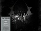 CELTIC FROST - DANSE MACABRE (DELUXE BOX SET DISCOGRAPHY)  10 LP NEU