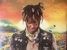 Juice WRLD Legends Never Die VINYL 2 LP ZOETROPE PICTURE DISC NEW/SEALED