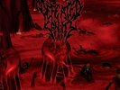 Prelude to the Tragedy by Defeated Sanity (Record, 2017)
