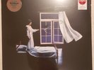 LP Conan Gray Wishbone  Exclusive Vinyl And Poster