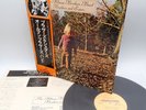 The Allman Brothers Band - Brothers And Sisters Japan LP OBI VINYL SWX-6214