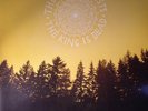 DECEMBERISTS, The - The King Is Dead - Vinyl (LP)