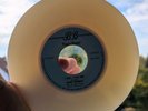 Gary Numan MISC ? BEIGE WHITE  i die you die 7