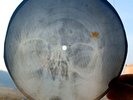 USSR GEORGIAN X-RAY ROENTGEN SKULL  RECORD  UNIQUE ITEM  AUTHENTIC unknown folk