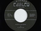 Funk 45 - Dayton Sidewinders - Funky In Here - Carlco