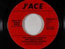 Funk 45 - Fabulous Fugitives ft. Michael Sharkey - What The World Needs - J'Ace