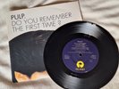 Pulp DO YOU REMEMBER THE FIRST TIME? 7