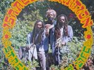 ISRAEL VIBRATION/ STRENGTH OF MY LIFE/ ROOTS/ REGGAE/ LP/ LOOK